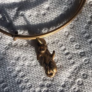 Alex and Ani Gold otter